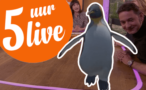 Koning Pinguïn op bezoek bij 5 Uur Live